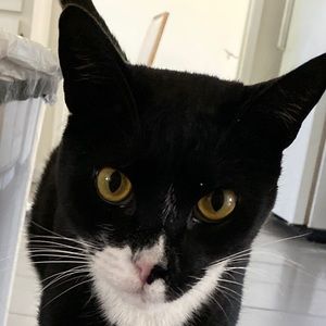 Meet your Posher, Eric